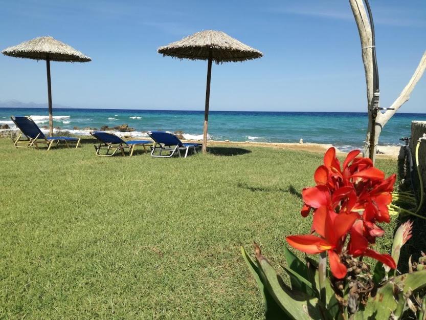 Studio Thalassa Kypseli Екстериор снимка